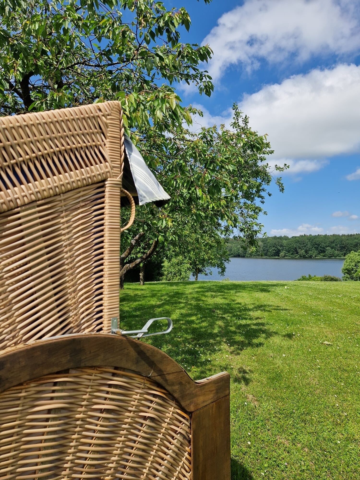 A wicker chair with a metal frame and a metal bell, set against a backdrop of a lake and trees.