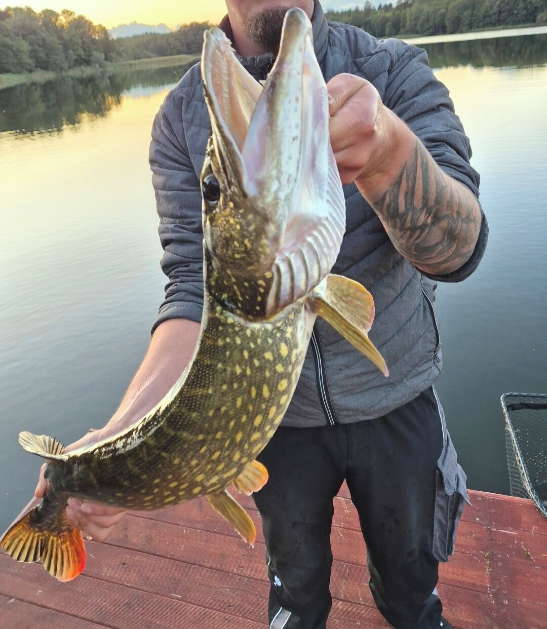 A person holding a fish on a dock with a lake and trees in the background.