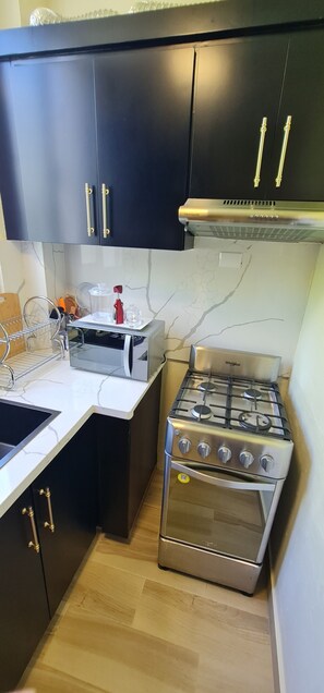 Frigorífico, microondas, horno y placa de cocina