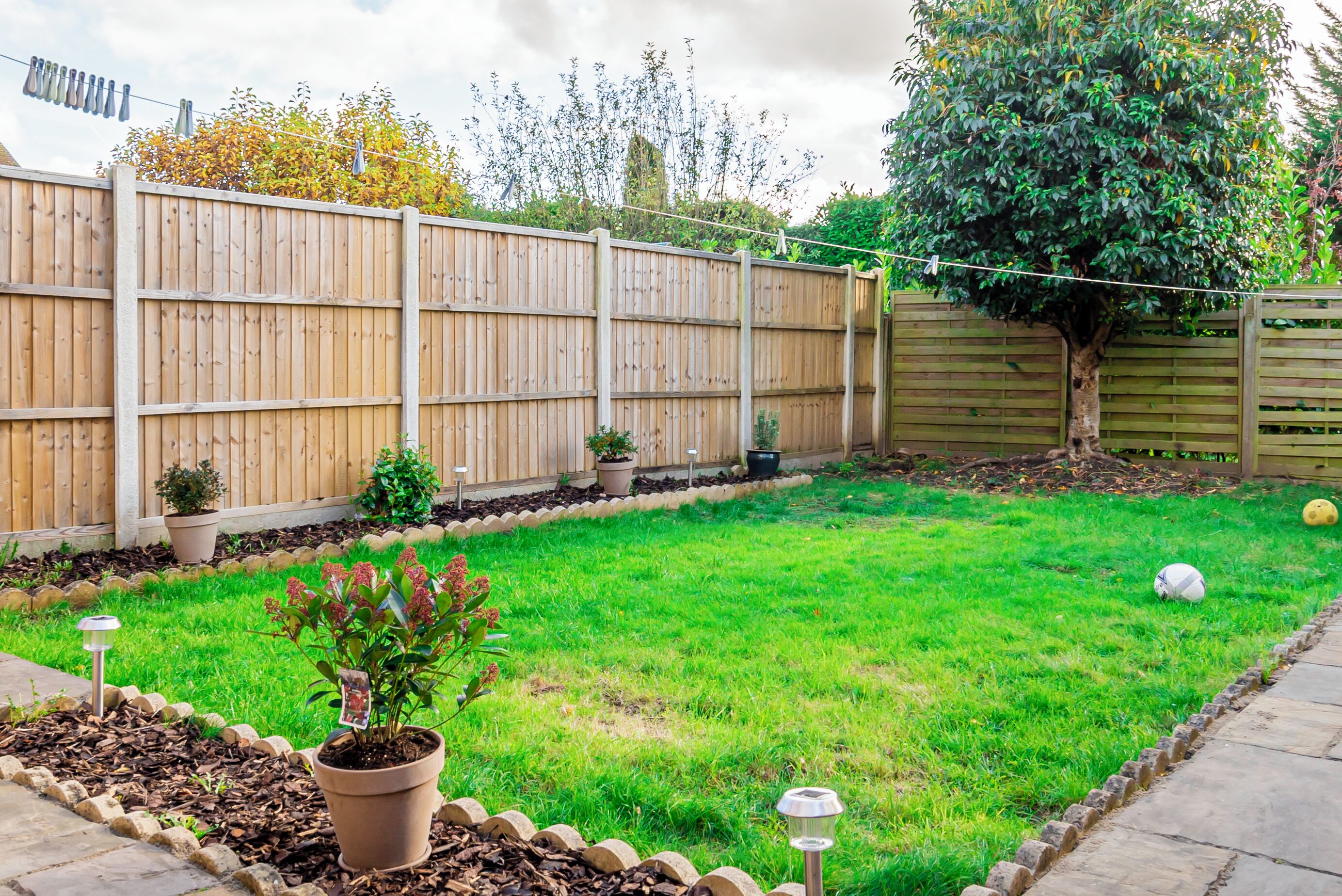 A backyard with a wooden fence, a tree, and a well-maintained lawn.