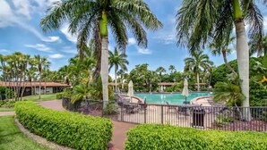 A pool area surrounded by palm trees and well-maintained hedges. - Marina Fish- Boat and Relax in this Paradise newly remodeled in Naples, Florida! (Naples)