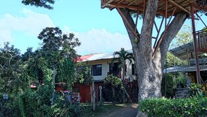 A treehouse structure built into a large tree, surrounded by dense foliage and a residential area with houses. - Casa Bugambilia

 (Bejuco)