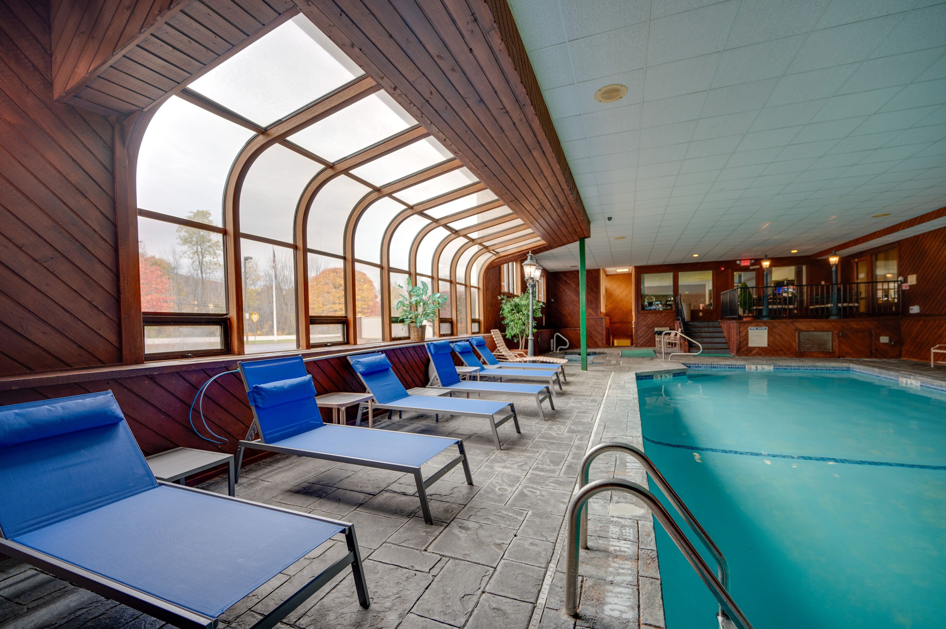 Una piscina interior con zonas de estar iluminadas por el sol y vistas a árboles.