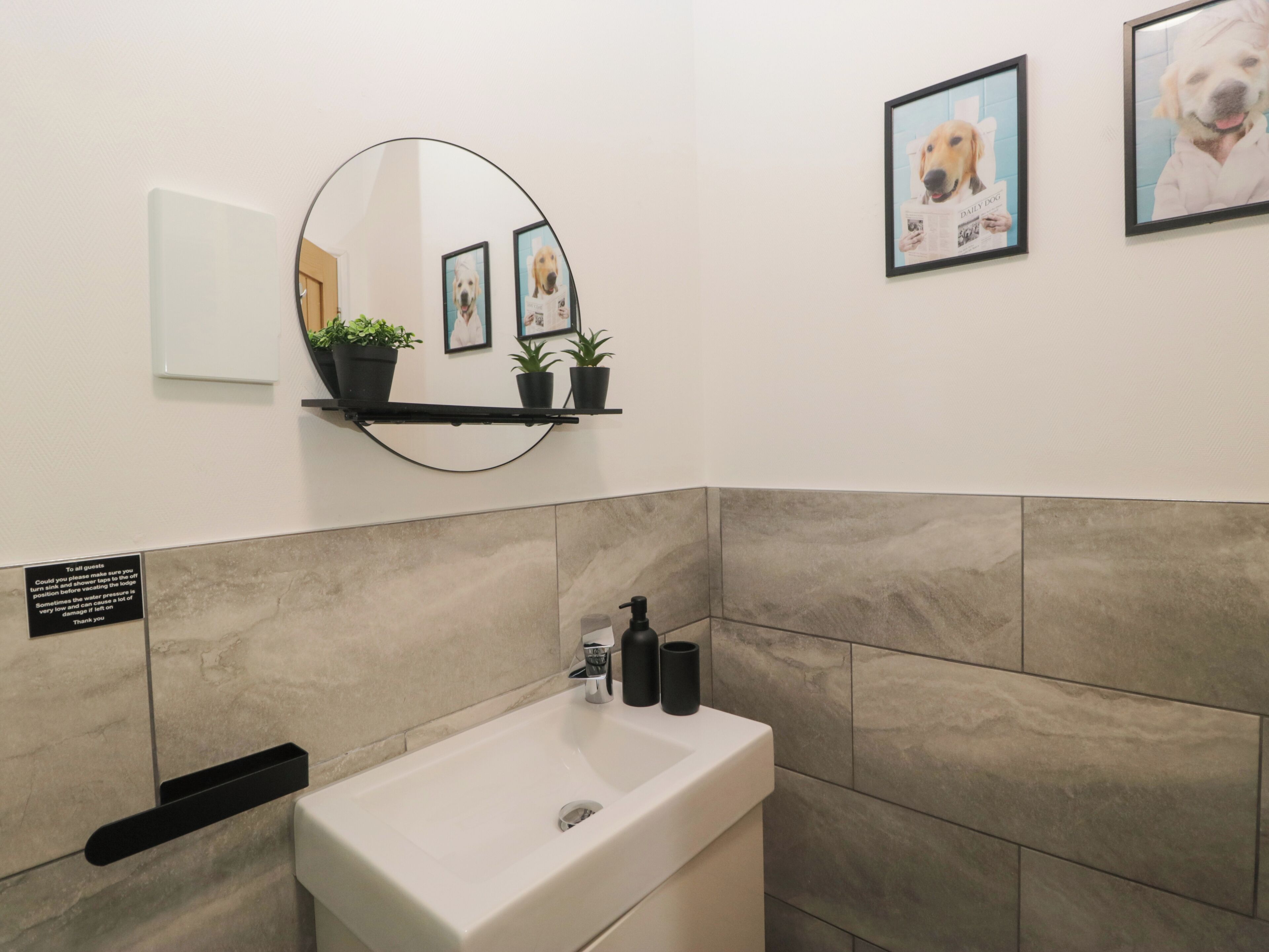 A bathroom with a white sink, a mirror, and a shelf with potted plants.