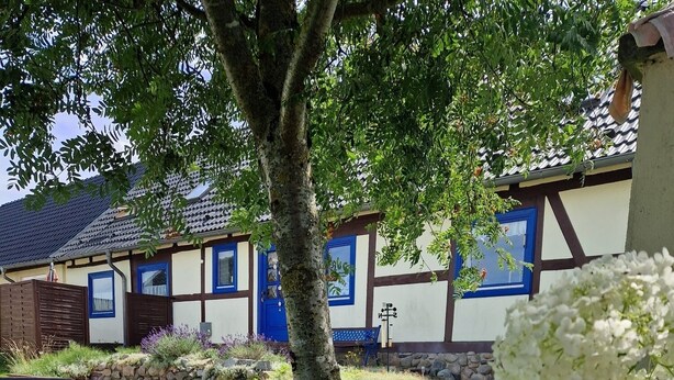 A traditional building with a stone pathway leading to a blue door, surrounded by lush greenery and white flowers.