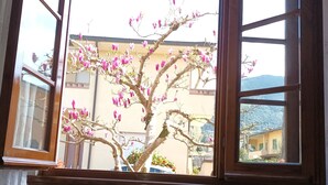 Une pièce avec une fenêtre à cadre en bois donnant sur un arbre en fleurs, aux fleurs roses.