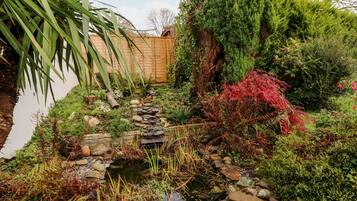 Khuôn viên nơi lưu trú