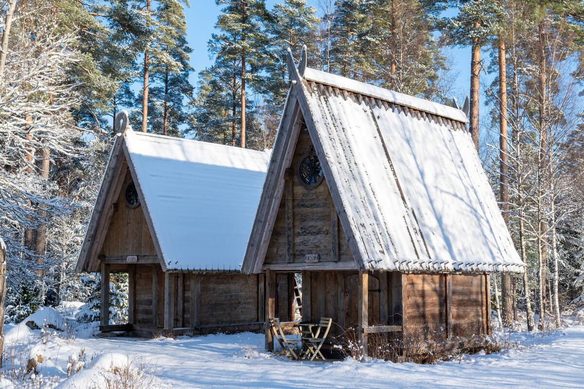 A wooden cabin with a snow-covered roof, surrounded by tall pine trees.