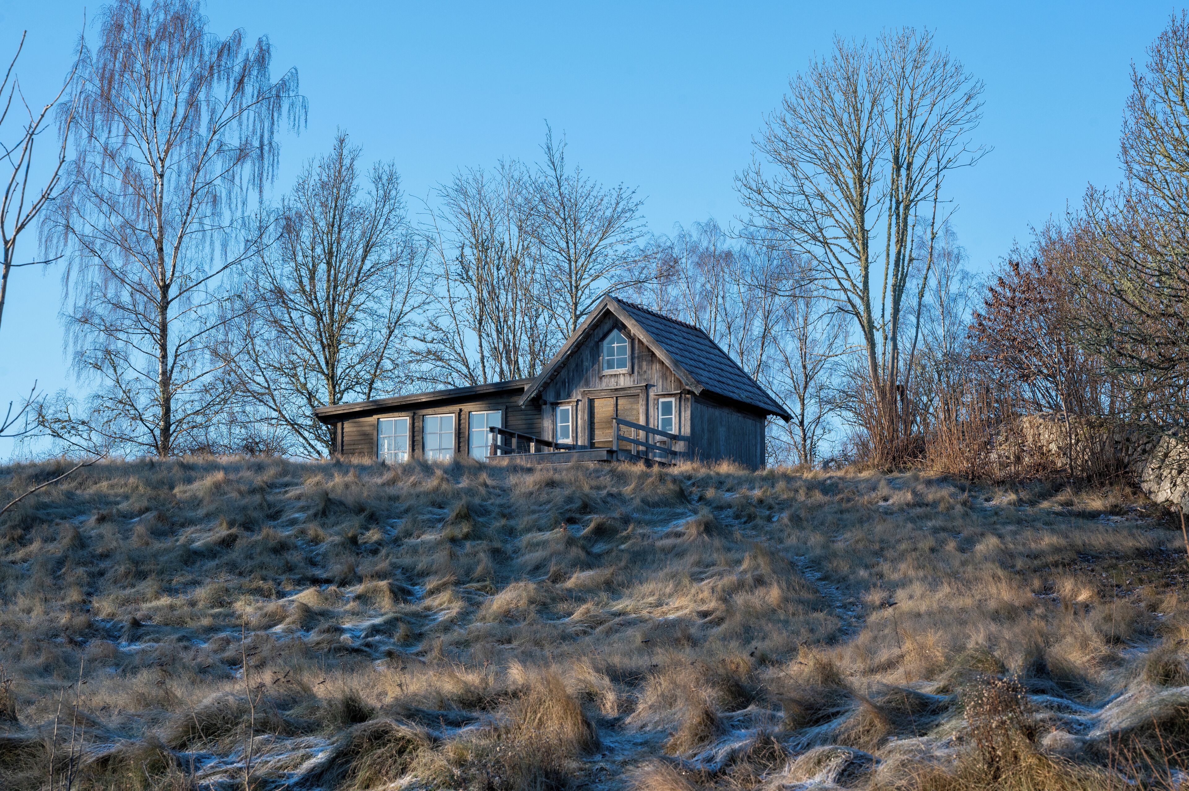 A wooden cabin with a sloped roof, situated on a grassy hill with leafless trees in the background.