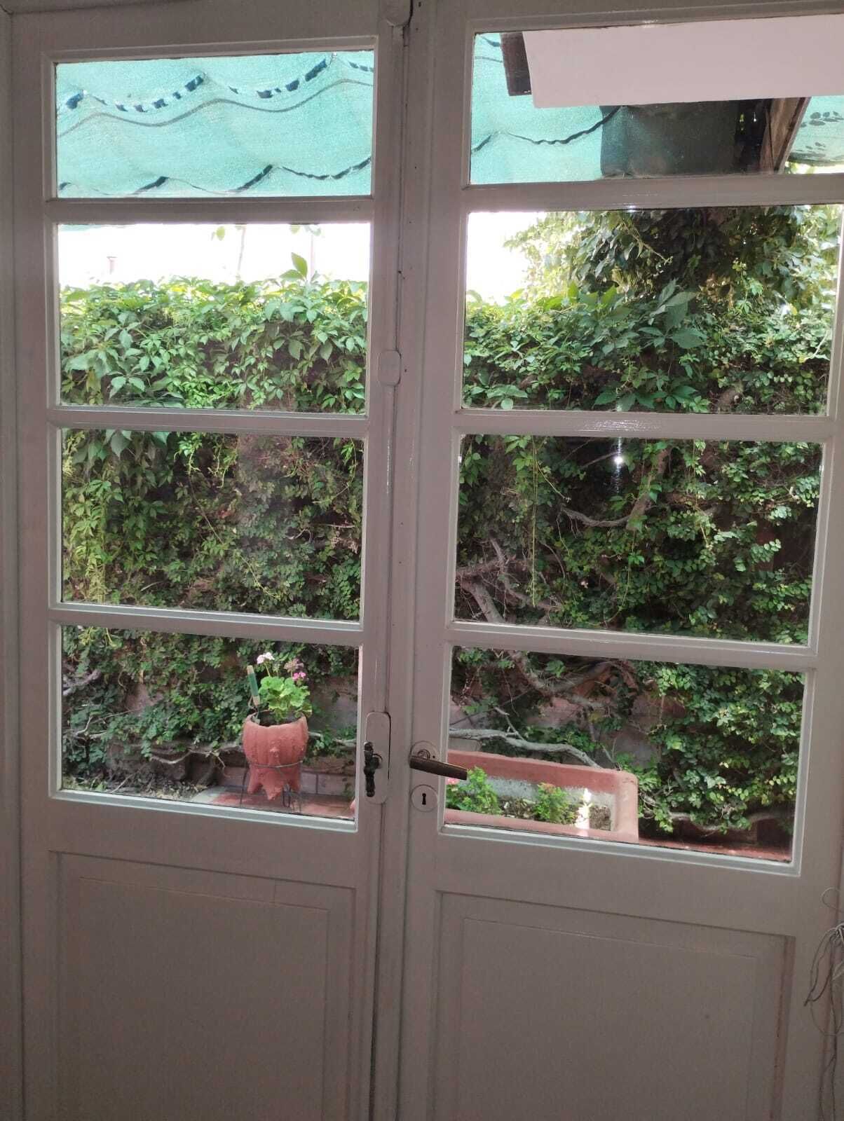 Jardim