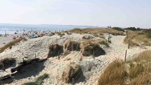 Une plage avec des dunes de sable, un sentier et une vue sur l’océan.