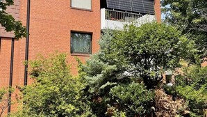 A brick building with a solar panel on the roof, surrounded by greenery. - Apartment in Laatzen! contactless check-in 11P (Laatzen)