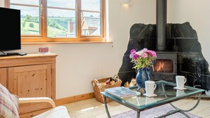 Een gezellige woonkamer met een open haard, een televisie en uitzicht op de omgeving.