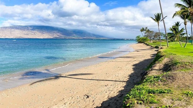 Ein Strand mit blauem Himmel, Palmen und einer fernen Bergkette.