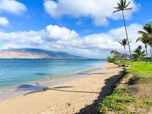 A beach with a clear sky, palm trees, and a distant mountain range.