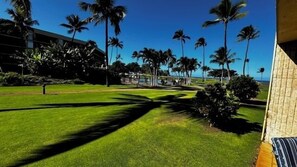 Property grounds - South Maui Partial ocean views Maui Sunset  A116 1 BR, 2BA (Kihei)