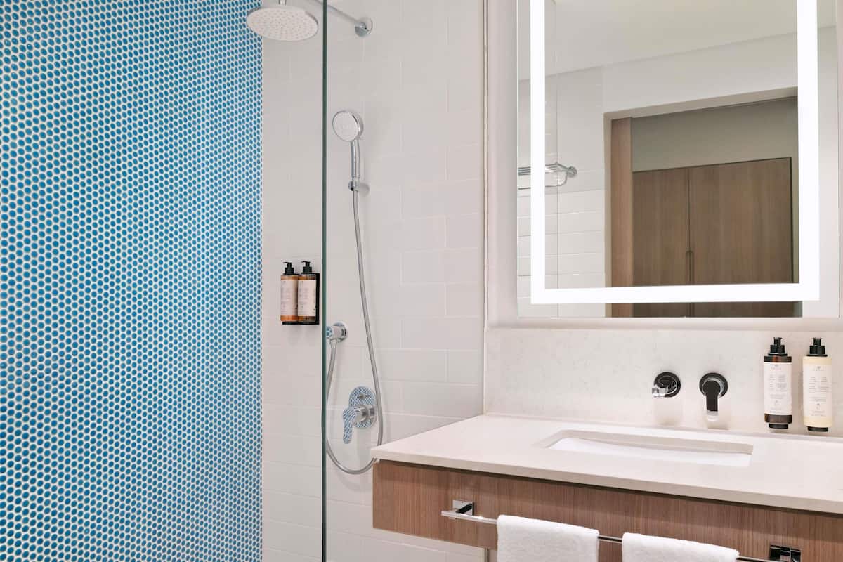 Premium bedding, down duvets, pillow-top beds, minibar