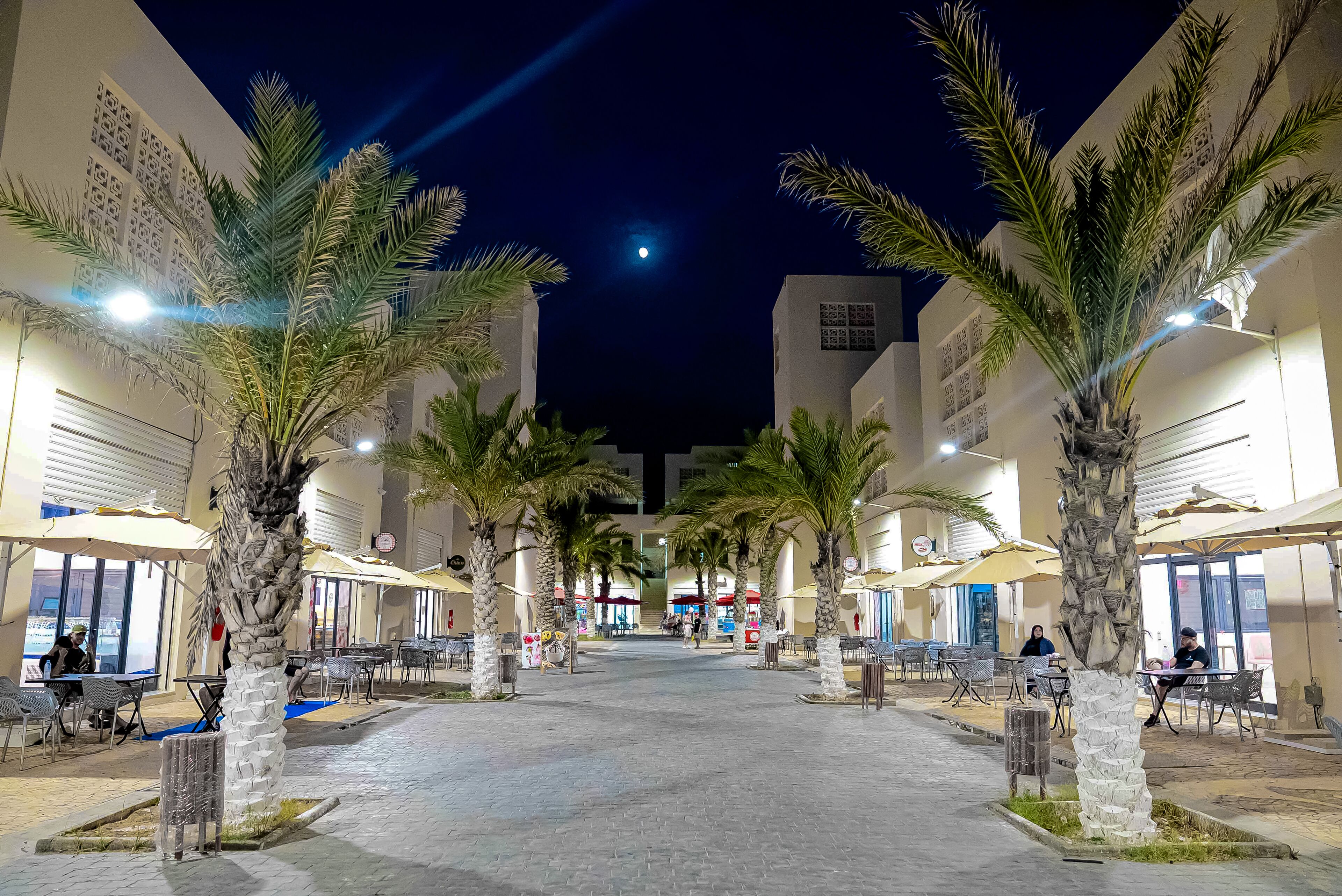An outdoor dining area with palm trees, tables, and chairs, under a night sky with a visible moon.