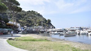 A marina with boats docked, a grassy area, and buildings in the background.
