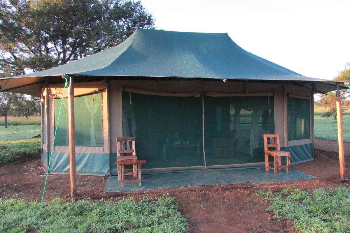 A tent with a large entrance and two wooden chairs inside.