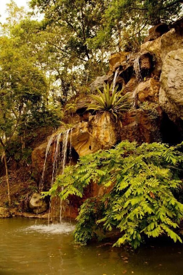 A natural waterfall surrounded by lush greenery and rocks.