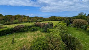 Un paisaje exuberante con diversa vegetación y árboles.
