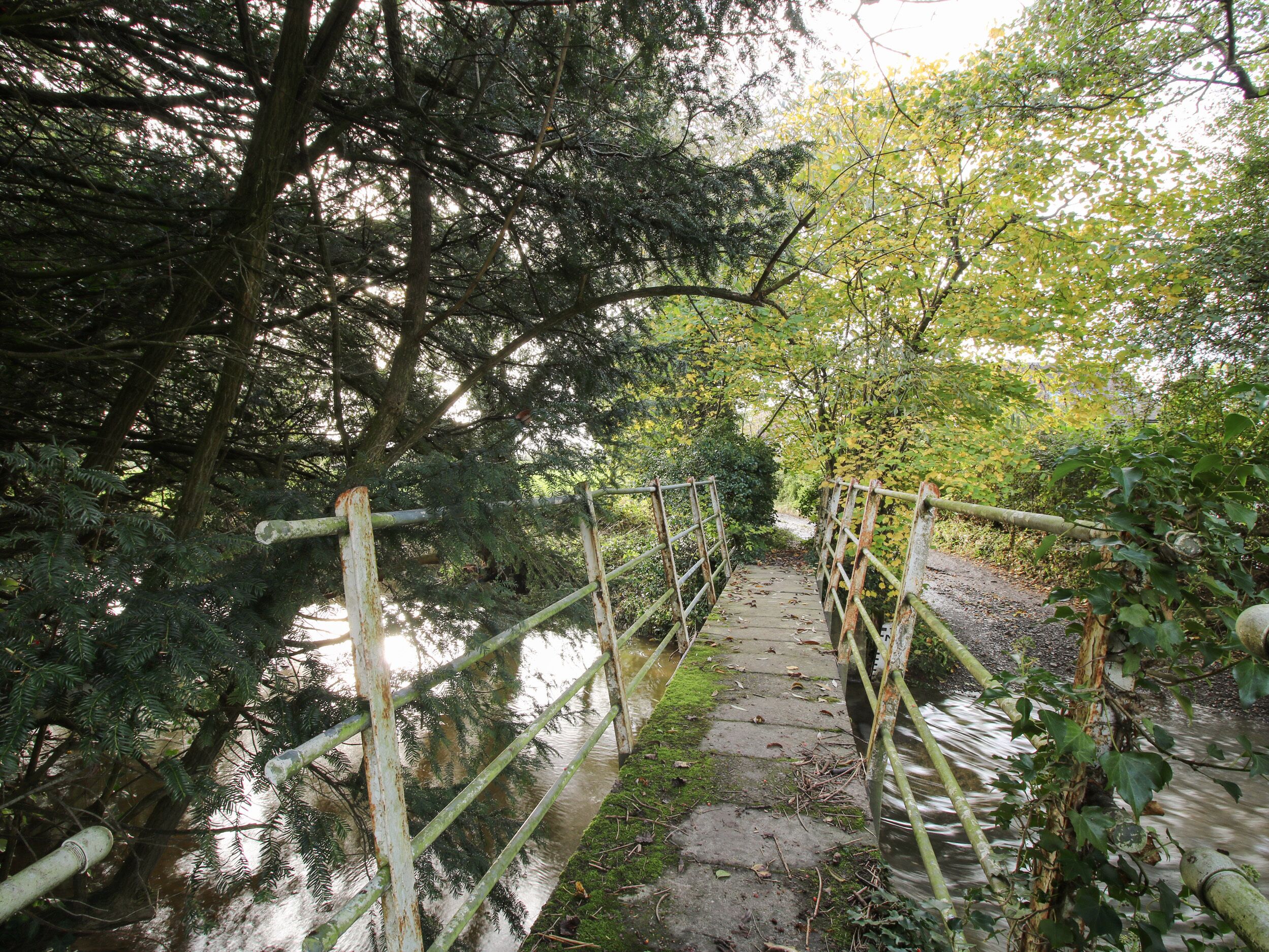 A wooden bridge over a calm river, surrounded by dense trees and greenery.