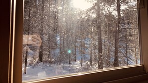 Vista desde la ventana: un bosque nevado con árboles altos y cielo despejado.