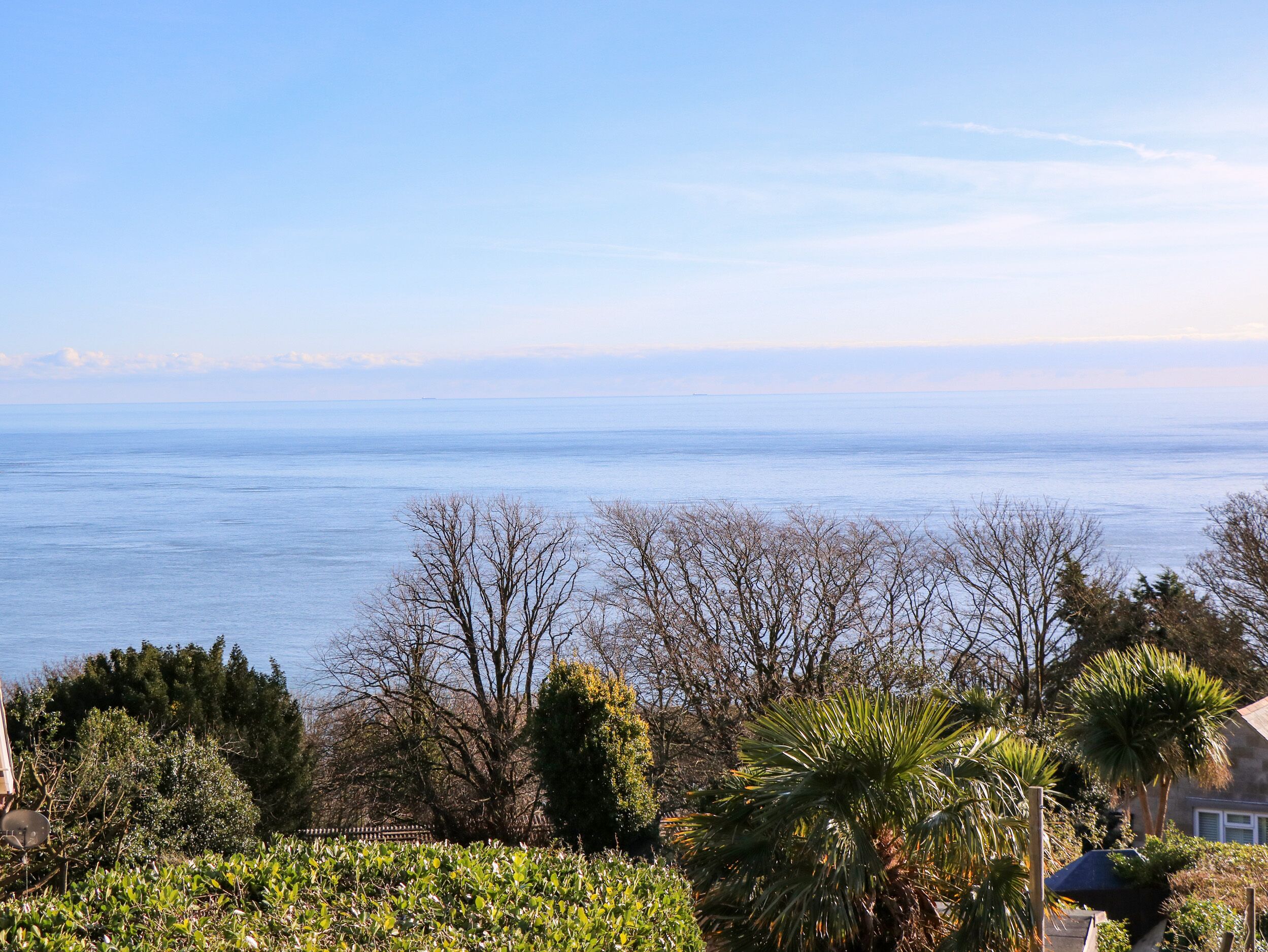 A coastal view with a clear sky, a calm sea, and a variety of trees including palm trees.
