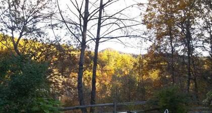 Granny's Mountain Getaway