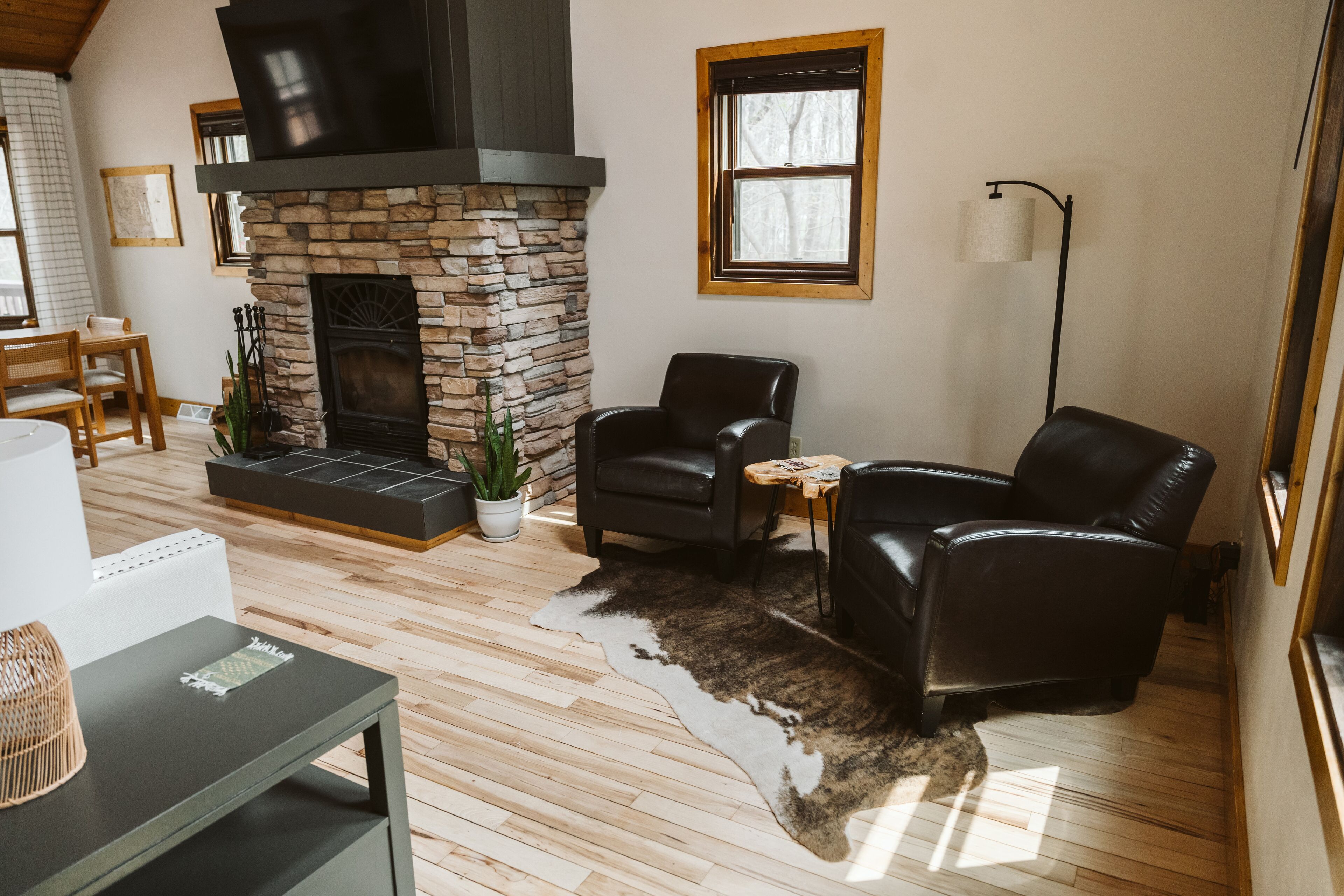 Smart TV, fireplace, ping pong, books