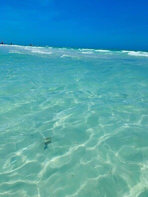 Playa
