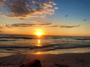 Beach - Siesta Key - Poolside Suite - Studio - Free kayaks (Siesta Key)