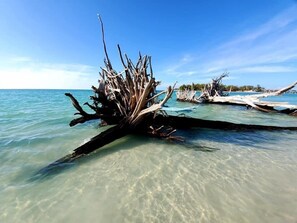 Miscellaneous - Sarasota - Siesta Shores Studio - King bed - Pool! (Sarasota)