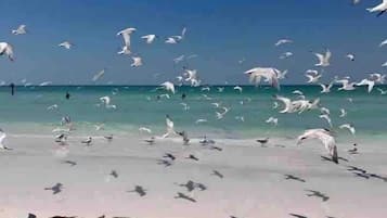海滩