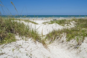 A beach with sand dunes and sparse vegetation.