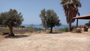 Un paysage aride et rocheux, parsemé d’oliviers, avec une vue sur la mer.