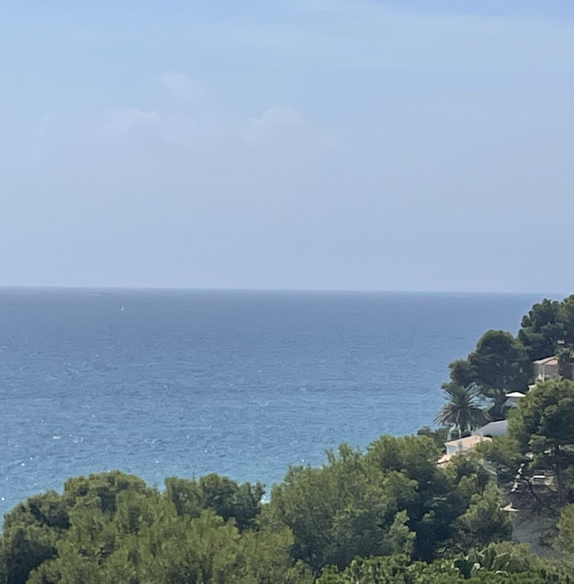 Une vue sur la côte, avec un ciel dégagé, une mer calme et une végétation luxuriante.