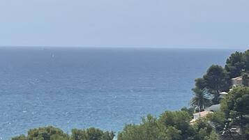 Une vue sur la côte, avec un ciel dégagé, une mer calme et une végétation luxuriante.
