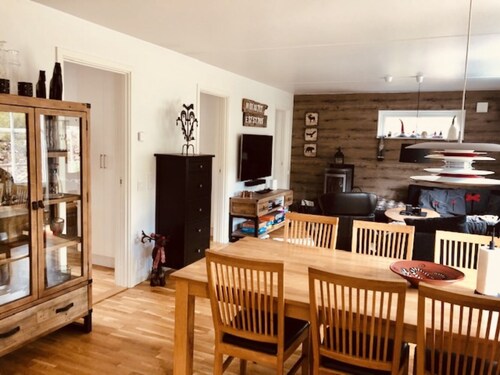 Cozy Accommodation in the Swedish Mountains