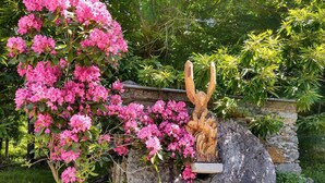 Un jardin agrémenté d’un grand rocher et d’une sculpture en bois représentant un aigle.
