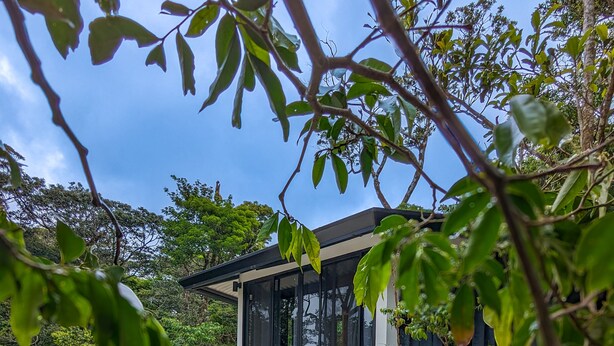 A modern building with large glass windows, surrounded by lush greenery and a concrete pathway. - Quality Cabins Monteverde #4 (Monteverde)