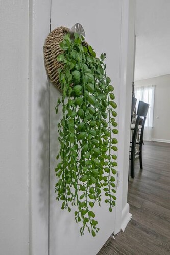 Tropical Oasis Villa