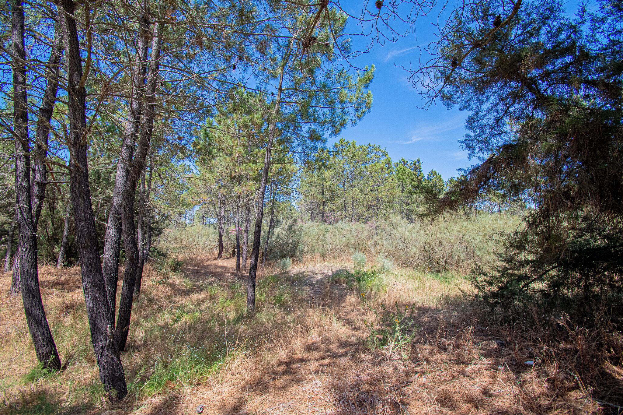 Photo - UFitness Retreat Guesthouse