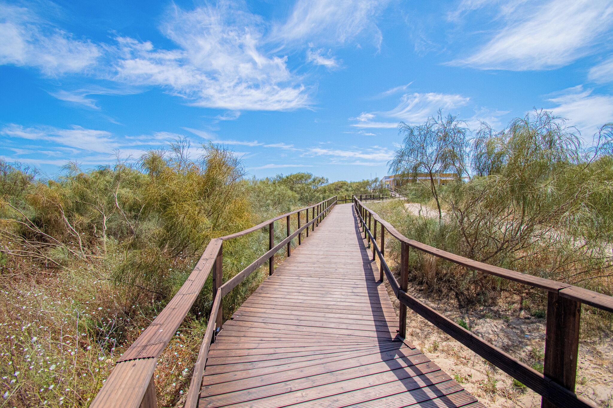 Photo - UFitness Retreat Guesthouse