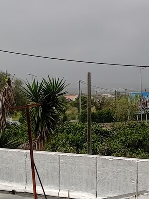 Vista de una carretera con una barrera blanca, una palmera y un cartel publicitario al fondo.