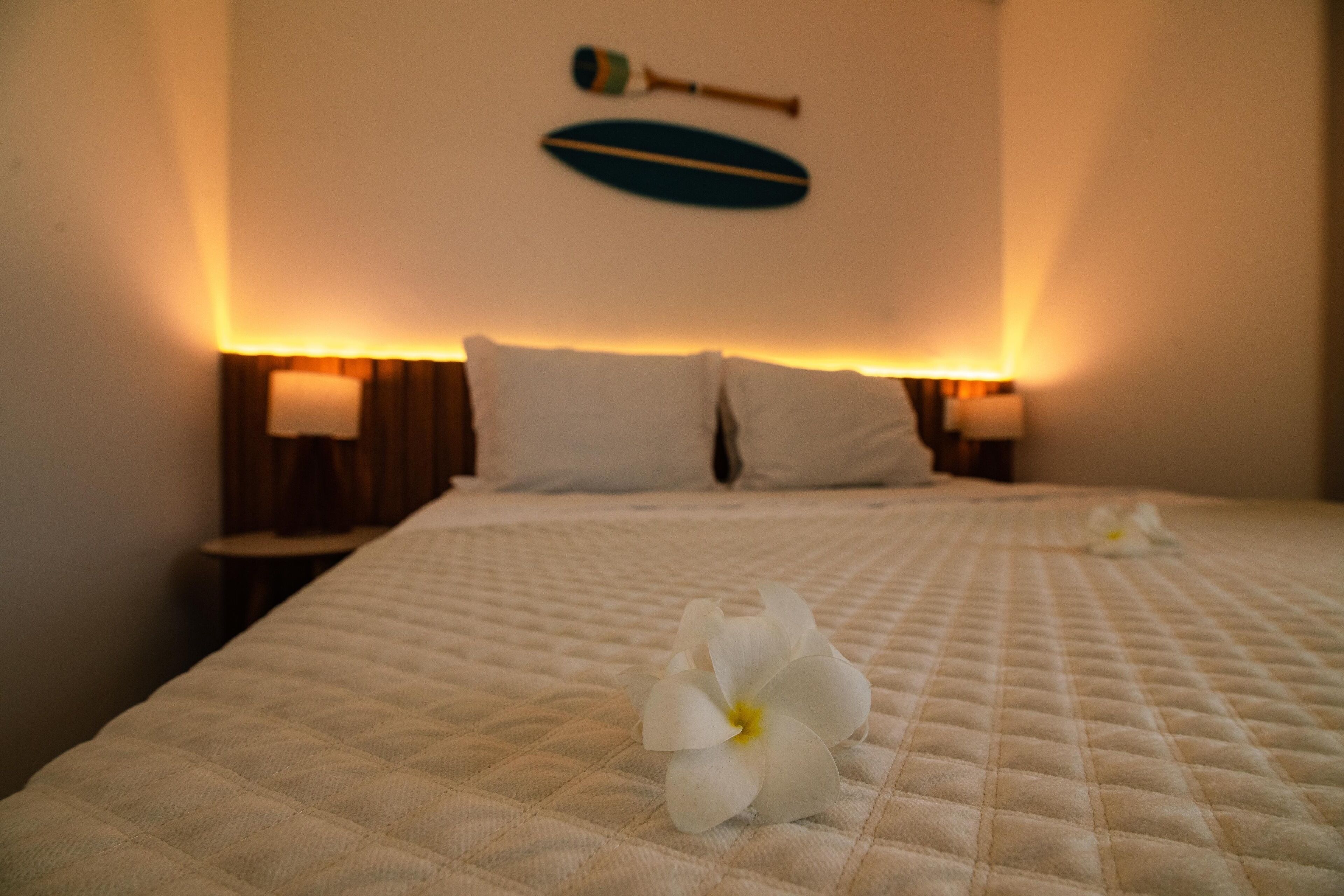 Una cama bien hecha con una cubierta blanca acolchada, dos almohadas blancas y una sola flor blanca sobre la cama. Hay dos lámparas de noche a cada lado de la cama.