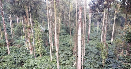 Enjoy with your family at our home stay, Exotic house in coorg, Pet-friendly !