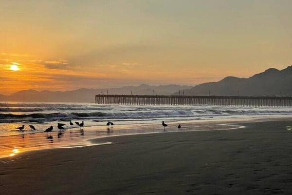 Camastros y toallas de playa