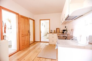 Fridge, microwave, oven, dishwasher - Large stylish family apartment in Old Town (Jihoceský kraj)